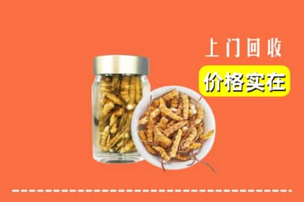 收购资讯:晋城城区回收散虫草
