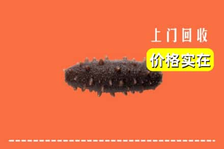 收购资讯:晋城城区回收海参
