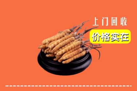 晋城城区回收冬虫夏草