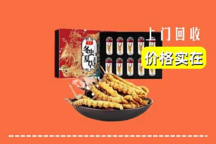 晋城城区回收虫草